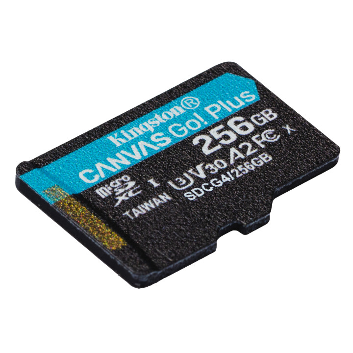 Kingston Canvas Go! Plus Gen 4 — 256 Go, microSDXC — vue 4