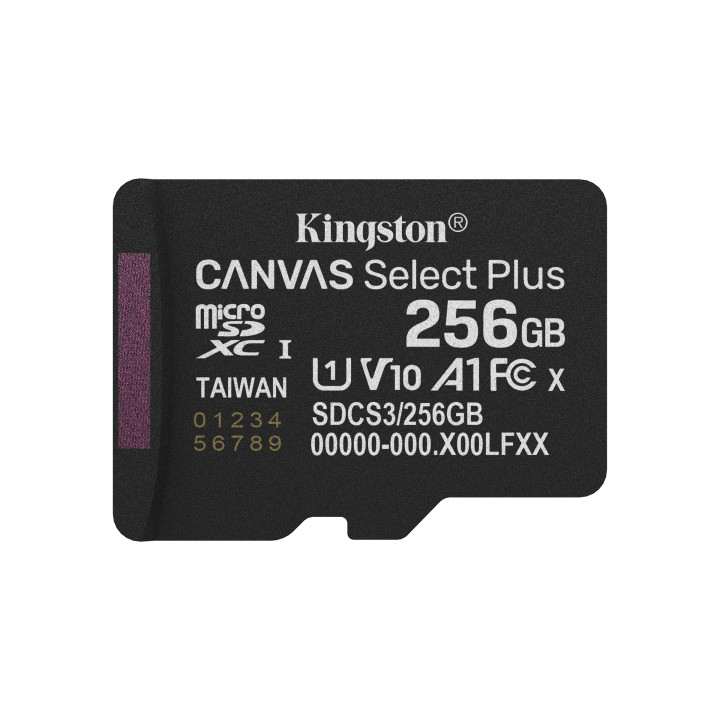 Kingston Canvas Select Plus Gen 3 — 256 Go, microSDXC — vue 3