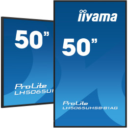 Écran 24 pouces IPS Iiyama ProLite XB2496HSC-B1 Full HD avec hub USB-C et pied réglable