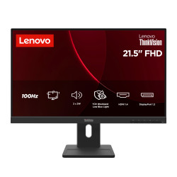 Lenovo ThinkVision E22-40 — Écran 21,5" Full HD IPS 100 Hz