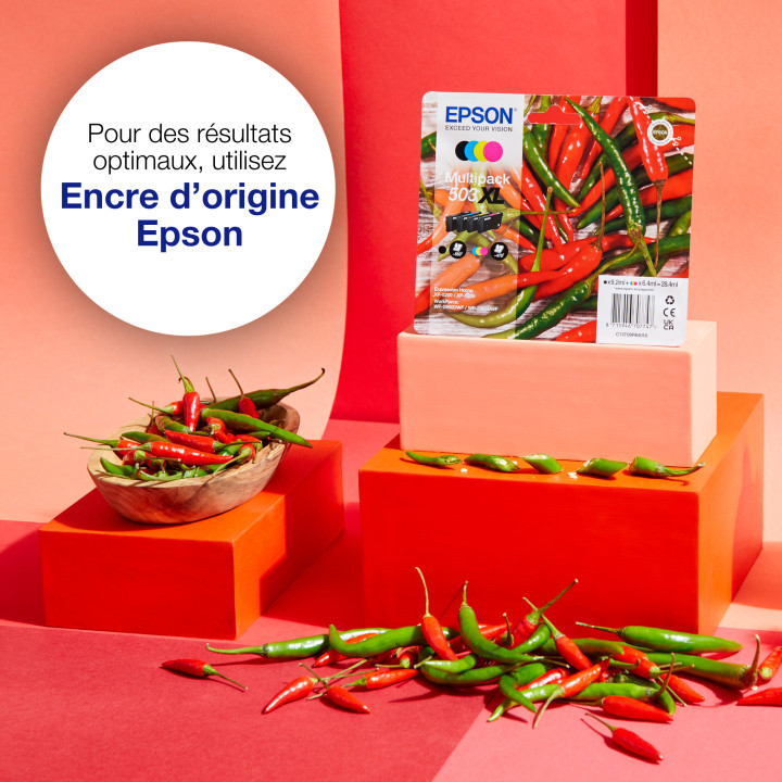 Epson Multipack 4-colours 503 Ink — vue 4