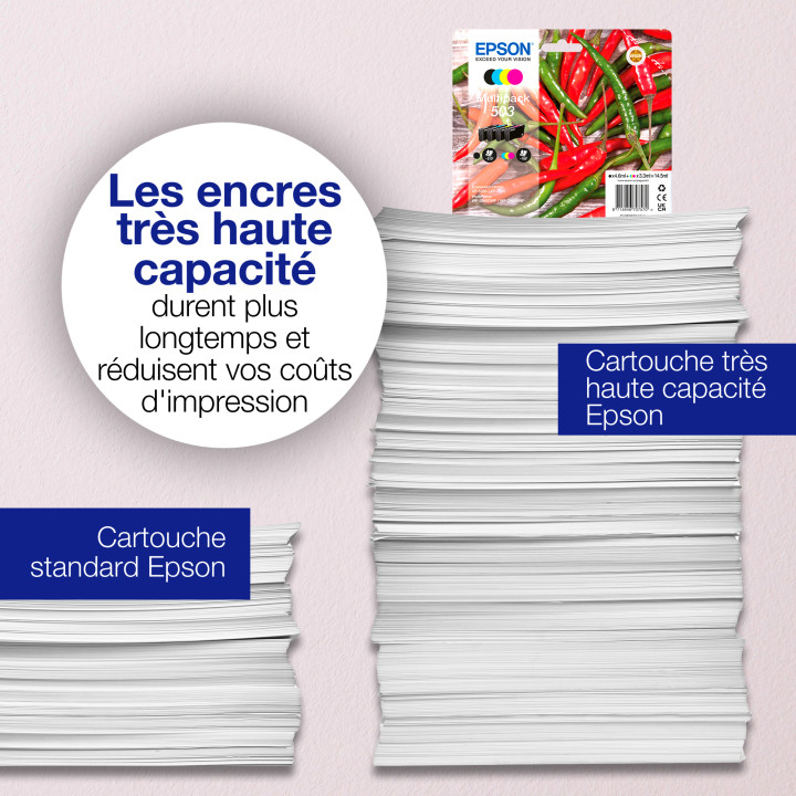Epson Multipack 4-colours 503 Ink — vue 5