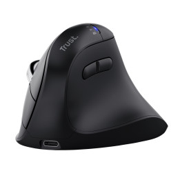 Trust Vyran souris Universel Droitier RF sans fil + Bluetooth Optique 4800 DPI — vue 1
