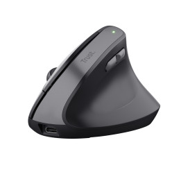 Trust TM-270 souris Bureau Droitier RF sans fil Optique 2400 DPI — vue 1
