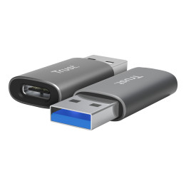 Trust Calyx USB Type-C USB Type-A Gris — vue 1
