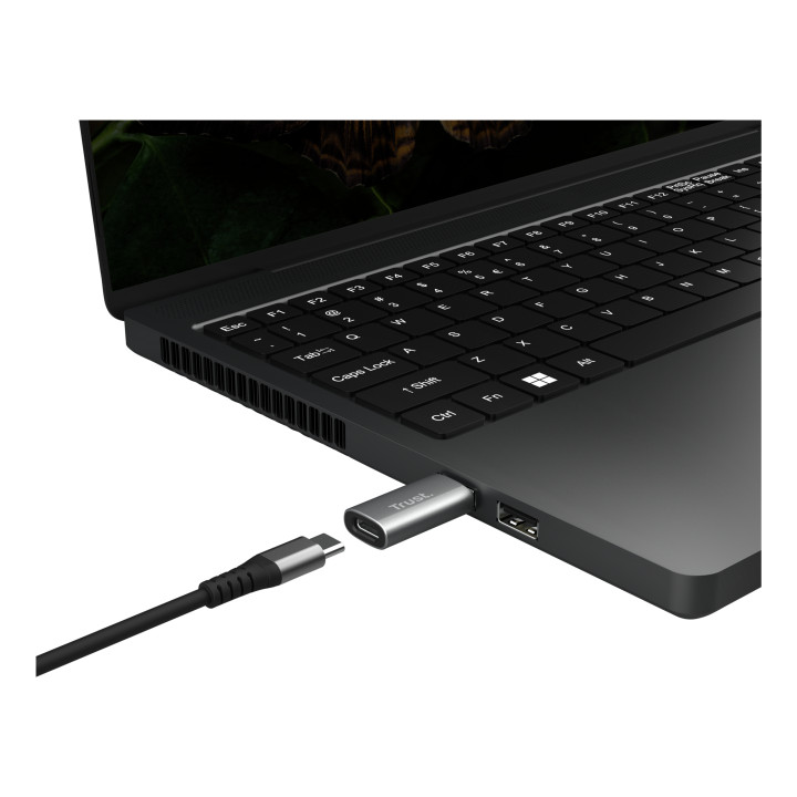 Trust Calyx USB Type-C USB Type-A Gris — vue 3