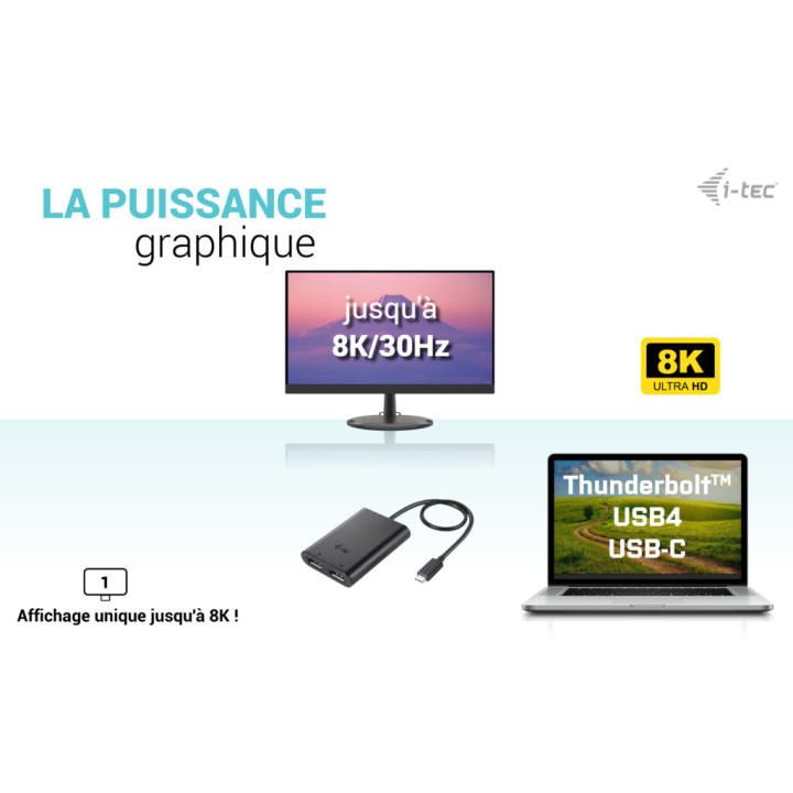 i-tec C31DUAL4K60DP — vue 4