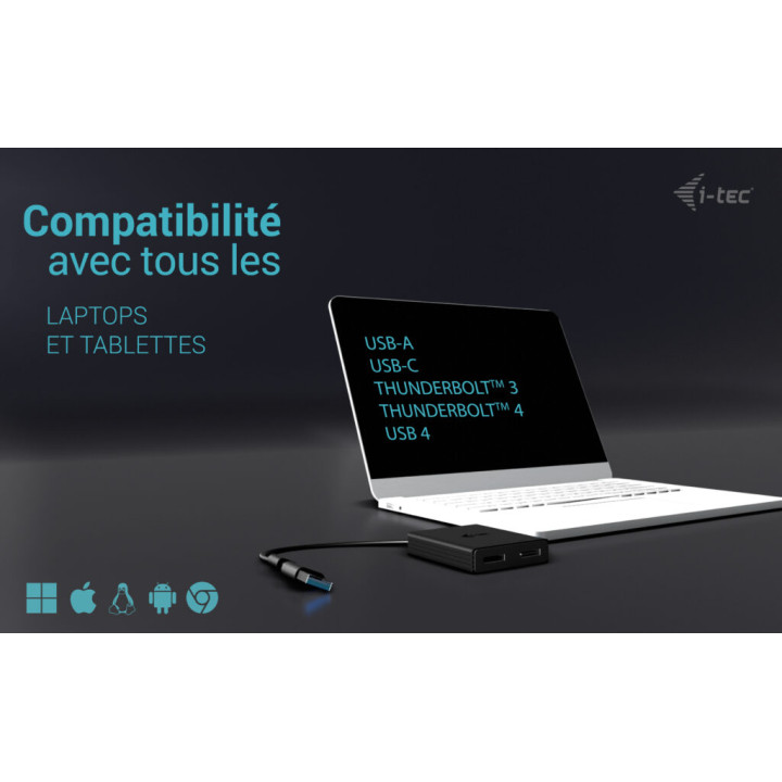 i-tec CADUAL4KDP — vue 4