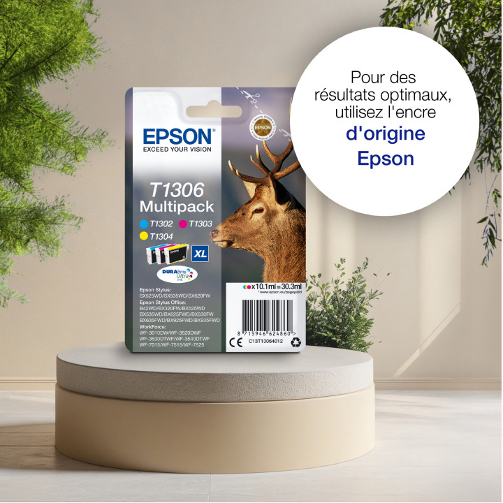 Epson Stag Encre noire DURABrite Ultra Cerf T1301 — vue 3