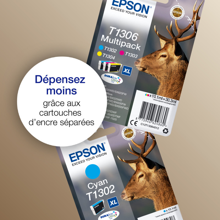 Epson Stag Encre noire DURABrite Ultra Cerf T1301 — vue 4