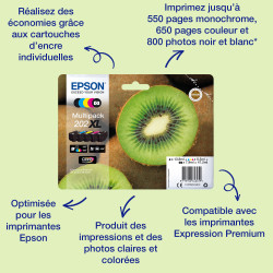 Epson Kiwi Singlepack Black 202 Claria Premium Ink — Cartouche d'encre noire, 250 pages