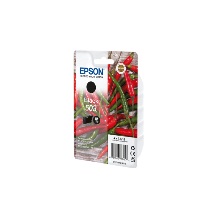 Epson Singlepack Black 503 Ink — vue 2