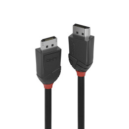 Lindy Câble DisplayPort 1.2, Black Line, 2m — vue 1