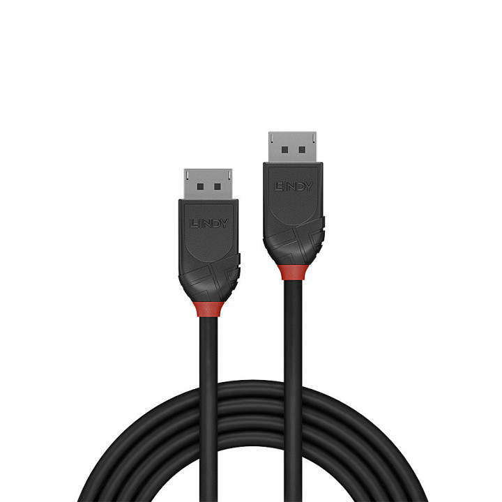Lindy Câble DisplayPort 1.2, Black Line, 2m — vue 2