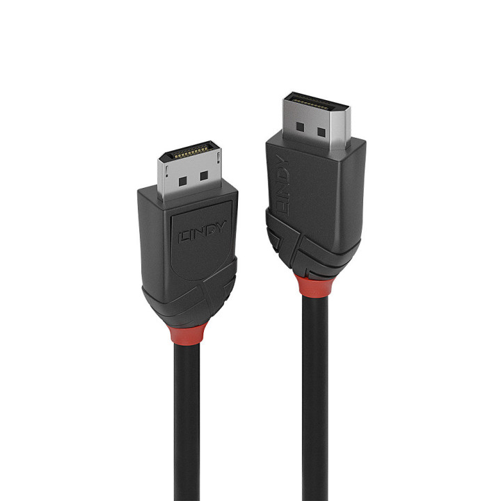 Lindy Câble DisplayPort 1.2, Black Line, 3m — vue 1
