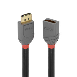 Lindy Rallonge DisplayPort 1.4 Anthra Line, 3m