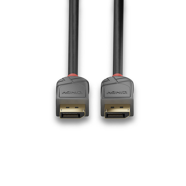 Lindy Câble DisplayPort 1.4, Anthra Line, 1m — vue 4
