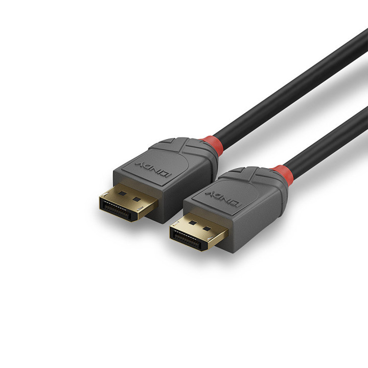 Lindy Câble DisplayPort 1.4, Anthra Line, 1m — vue 5