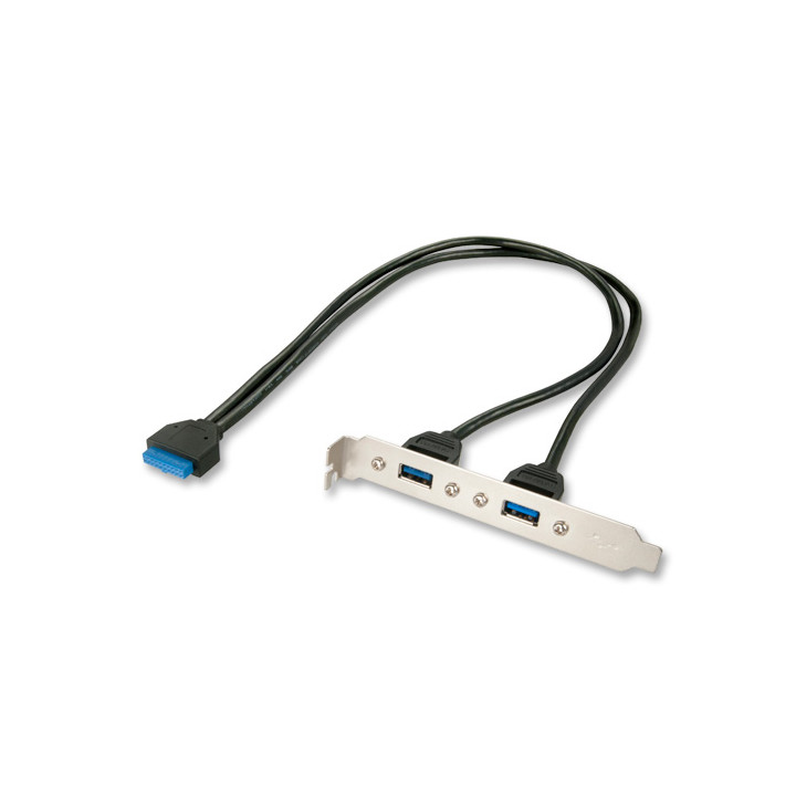 Lindy Adaptateur slot USB 3.0, 2 x USB 3.0 prises Type A — vue 1