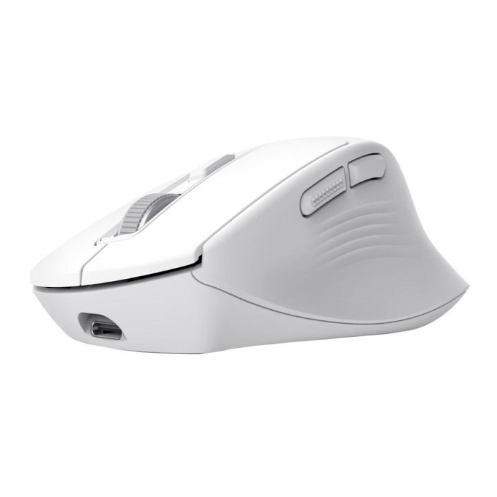 Trust Niven souris Bureau Droitier RF sans fil + Bluetooth 3200 DPI — vue 2