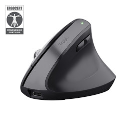 Trust Bayo+ souris Bureau Droitier RF sans fil + Bluetooth Optique 2400 DPI — vue 1
