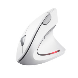 Trust Verto souris Bureau Droitier RF sans fil Optique 1600 DPI — vue 1