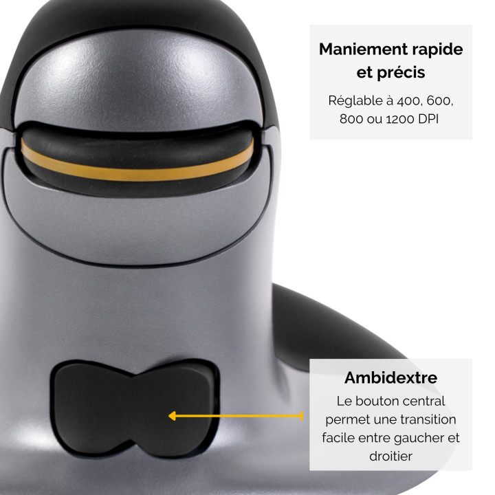 Fellowes Souris verticale ambidextre Penguin - Sans fil - Petit — vue 4