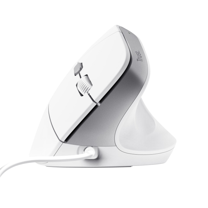 Trust Bayo II souris Bureau Droitier USB Type-A Optique 2400 DPI — vue 4