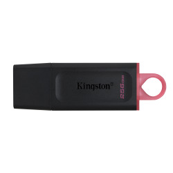 Kingston Technology DataTraveler Exodia — Clé USB 256 Go