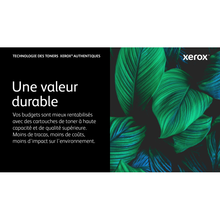 Xerox Cartouche de toner Cyan de Grande capacité Imprimante couleur ® C310/multifonctions ® C315 (5500 pages)  — vue 2
