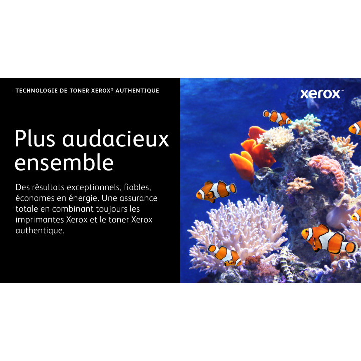 Xerox Cartouche de toner Cyan de Grande capacité Imprimante couleur ® C310/multifonctions ® C315 (5500 pages)  — vue 4