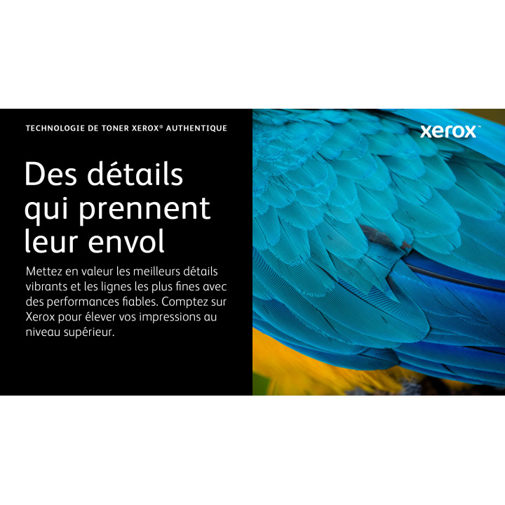 Xerox Cartouche de toner Cyan de Grande capacité Imprimante couleur ® C310/multifonctions ® C315 (5500 pages)  — vue 5