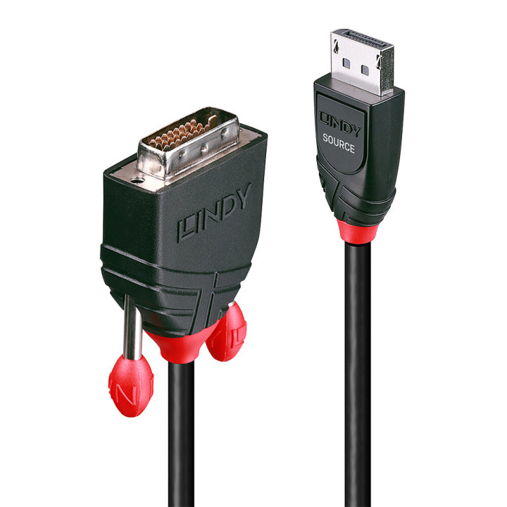 Lindy Câble adaptateur DisplayPort vers DVI-D 1m — vue 1