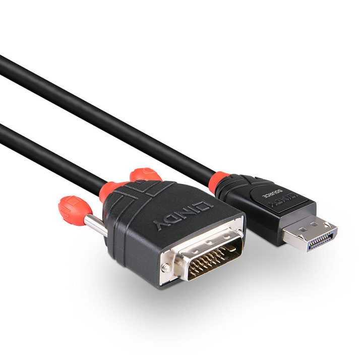 Lindy Câble adaptateur DisplayPort vers DVI-D 1m — vue 3