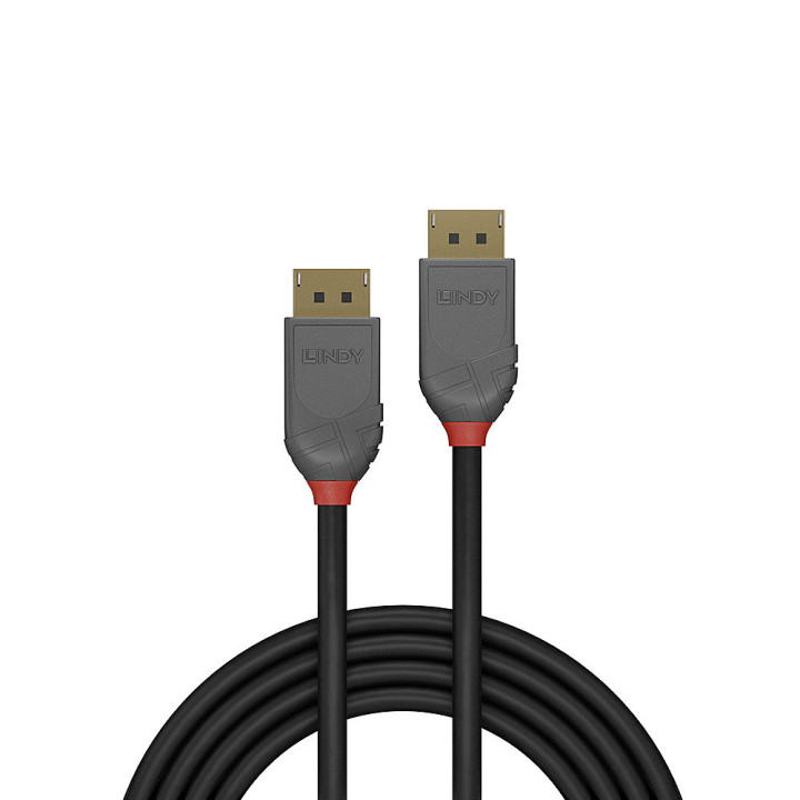 Lindy Câble DisplayPort 1.4, Anthra Line, 0.5m — vue 2