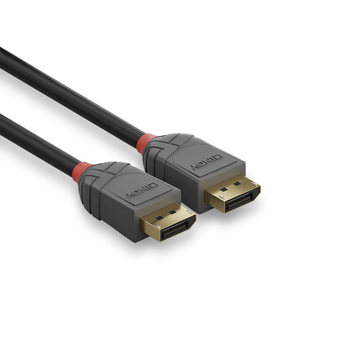 Lindy Câble DisplayPort 1.4, Anthra Line, 0.5m — vue 3